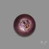 Gem Lepidolite Mica Round Cabochon