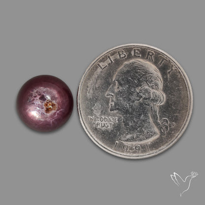 Gem Lepidolite Mica Round Cabochon