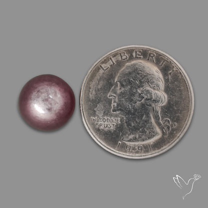 Gem Lepidolite Mica Round Cabochon