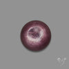 Gem Lepidolite Mica Round Cabochon