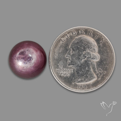 Gem Lepidolite Mica Round Cabochon