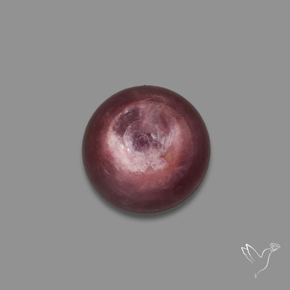 Gem Lepidolite Mica Round Cabochon
