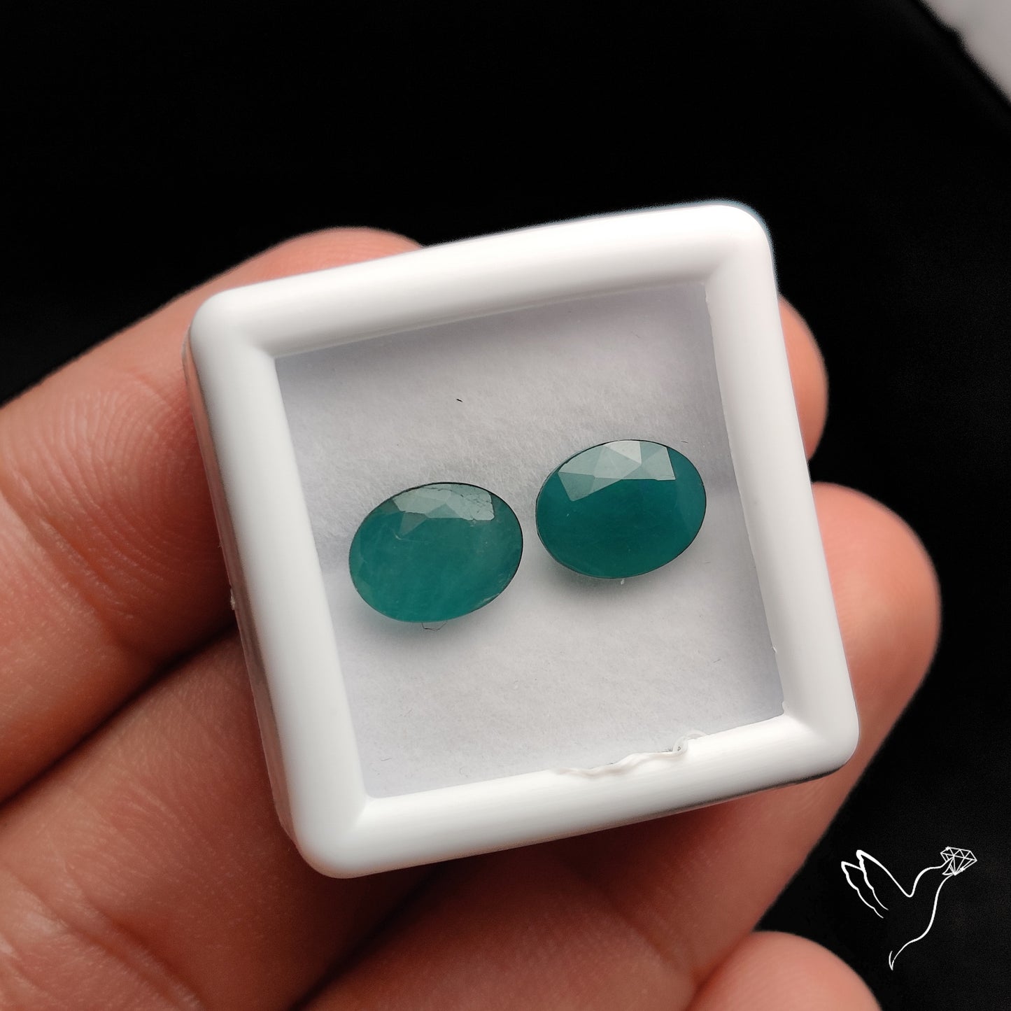 Rare Grandidierites Faceted Pair