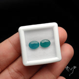Rare Grandidierites Faceted Pair