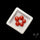 Red Coral Cabochons Lot
