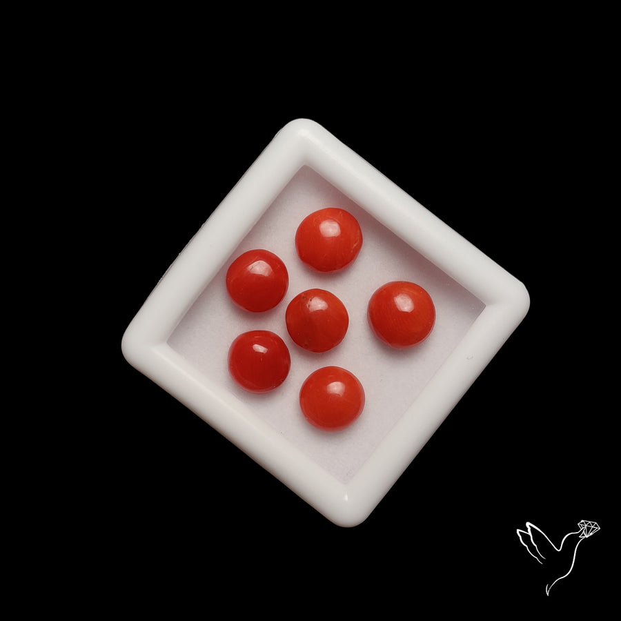 Red Coral Cabochons Lot
