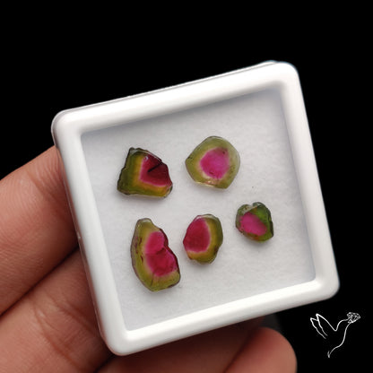 Watermelon Tourmaline Slice Set