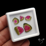 Watermelon Tourmaline Slice Set