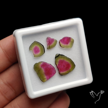 Watermelon Tourmaline Slice Set