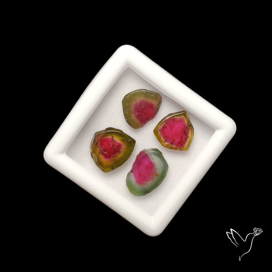 Watermelon Tourmaline Slice Set