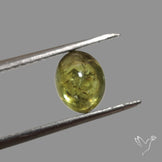 Rare Ural Demantoid Garnet Cabochon