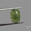 Rare Ural Demantoid Garnet Cabochon