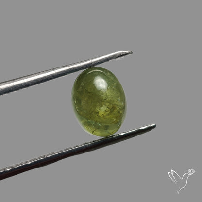 Rare Ural Demantoid Garnet Cabochon