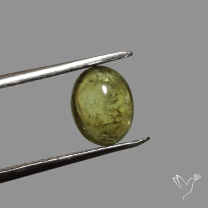 Rare Ural Demantoid Garnet Cabochon