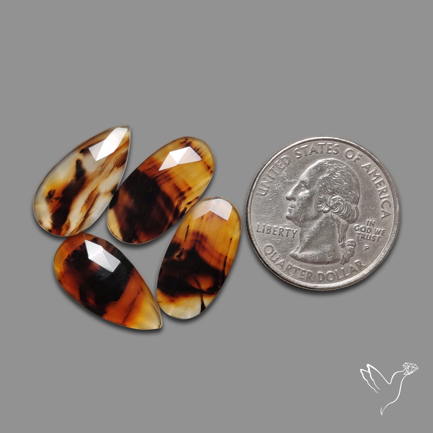 Montana Agate Rose Cuts Lot