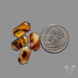 Step Cut Montana Agates Lot