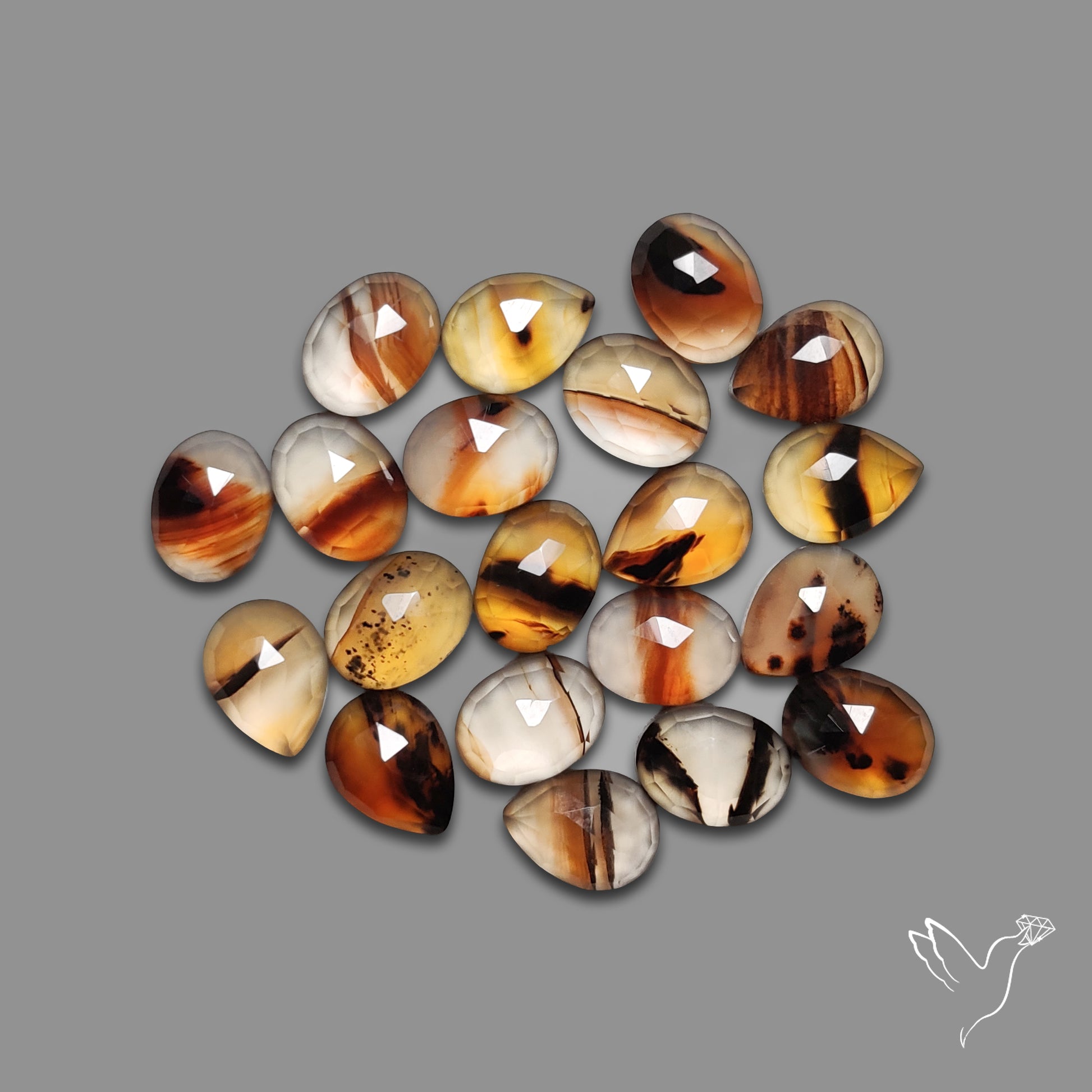 Rose Cut Montana Agates Lot