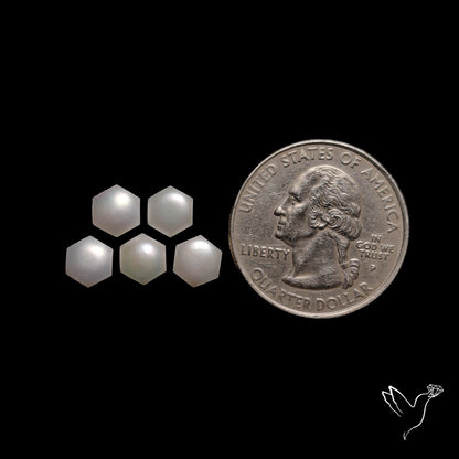 Freshwater Pearl Hexagons Lot Natural Pearls