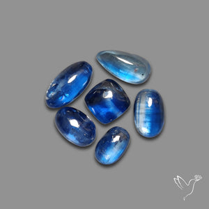 Blue Kyanite Cabochons Lot