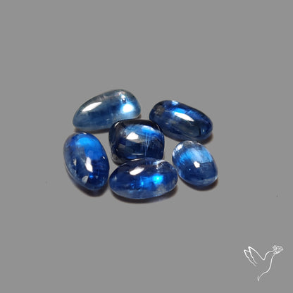Blue Kyanite Cabochons Lot