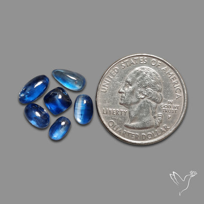 Blue Kyanite Cabochons Lot