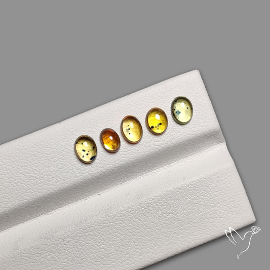 Rare Songea Sapphire Cabochons Lot