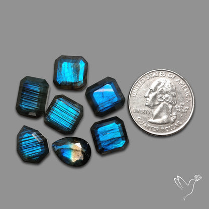 Step Cut Blue Labradorites Lot