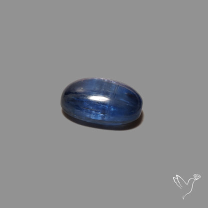 Flashy Blue Kyanite Cabochon