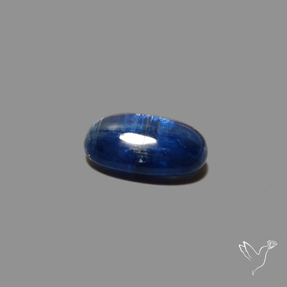 Flashy Blue Kyanite Cabochon