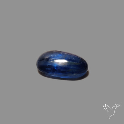 Flashy Blue Kyanite Cabochon
