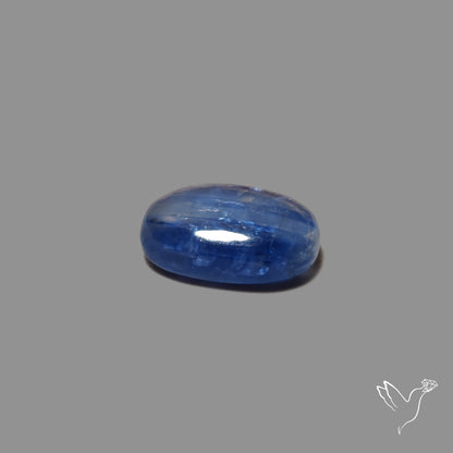 Flashy Blue Kyanite Cabochon