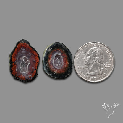 Tabasco Baby Geode Druzy Pair