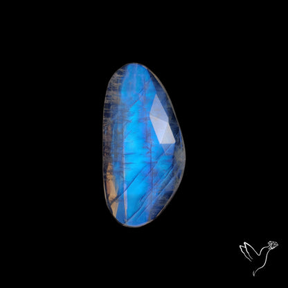 Rose Cut Rainbow Moonstone