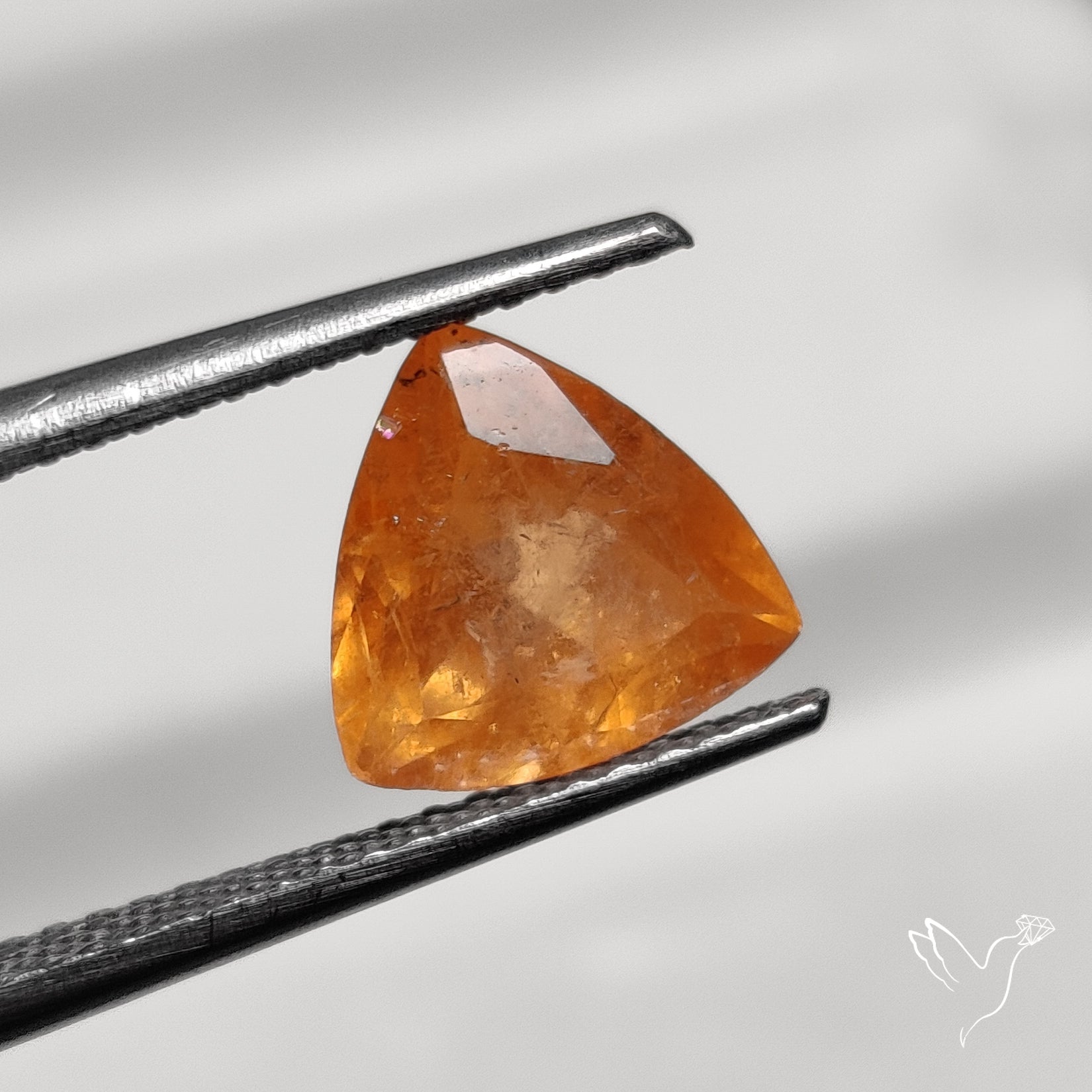 Faceted Spessartite Fanta Garnet Orange Garnet