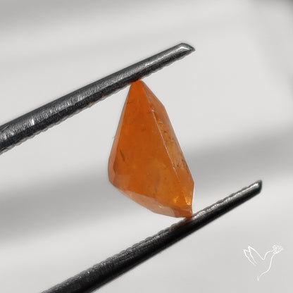 Faceted Spessartite Fanta Garnet Orange Garnet