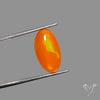 Mexican Fire Opal Cabochon