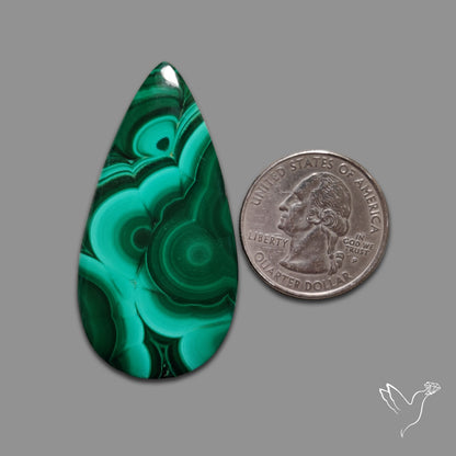 Malachite Cabochon