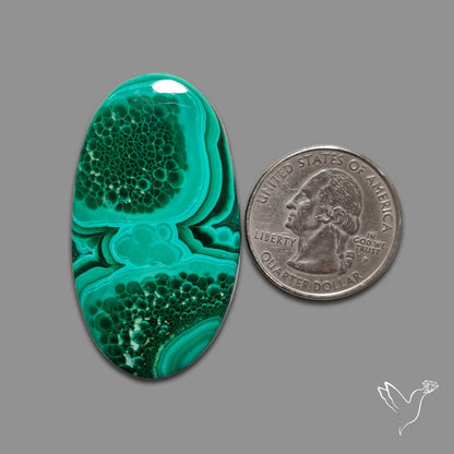 Malachite Cabochon