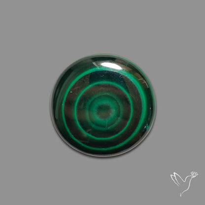 Malachite Round Cabochon