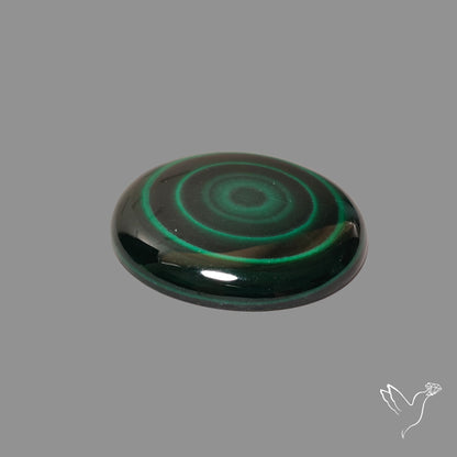 Malachite Round Cabochon