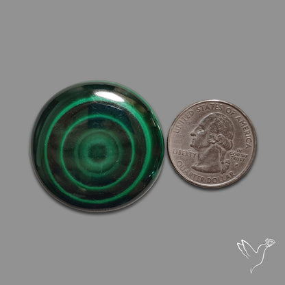 Malachite Round Cabochon