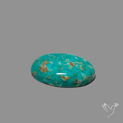 Arizona Patagonia Turquoise Cabochon