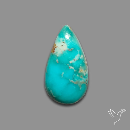 Arizona Patagonia Turquoise Cabochon