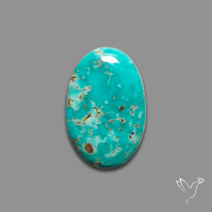Arizona Patagonia Turquoise Cabochon