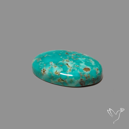 Arizona Patagonia Turquoise Cabochon