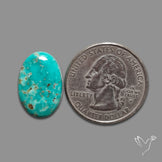 Arizona Patagonia Turquoise Cabochon