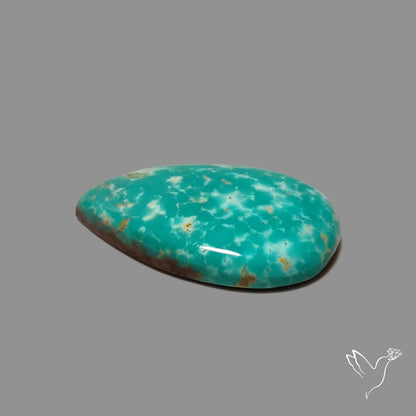 Arizona Patagonia Turquoise Cabochon