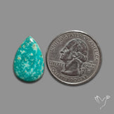 Arizona Patagonia Turquoise Cabochon