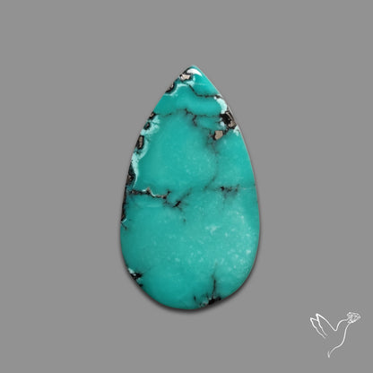 Campitos Mines Turquoise Cabochon