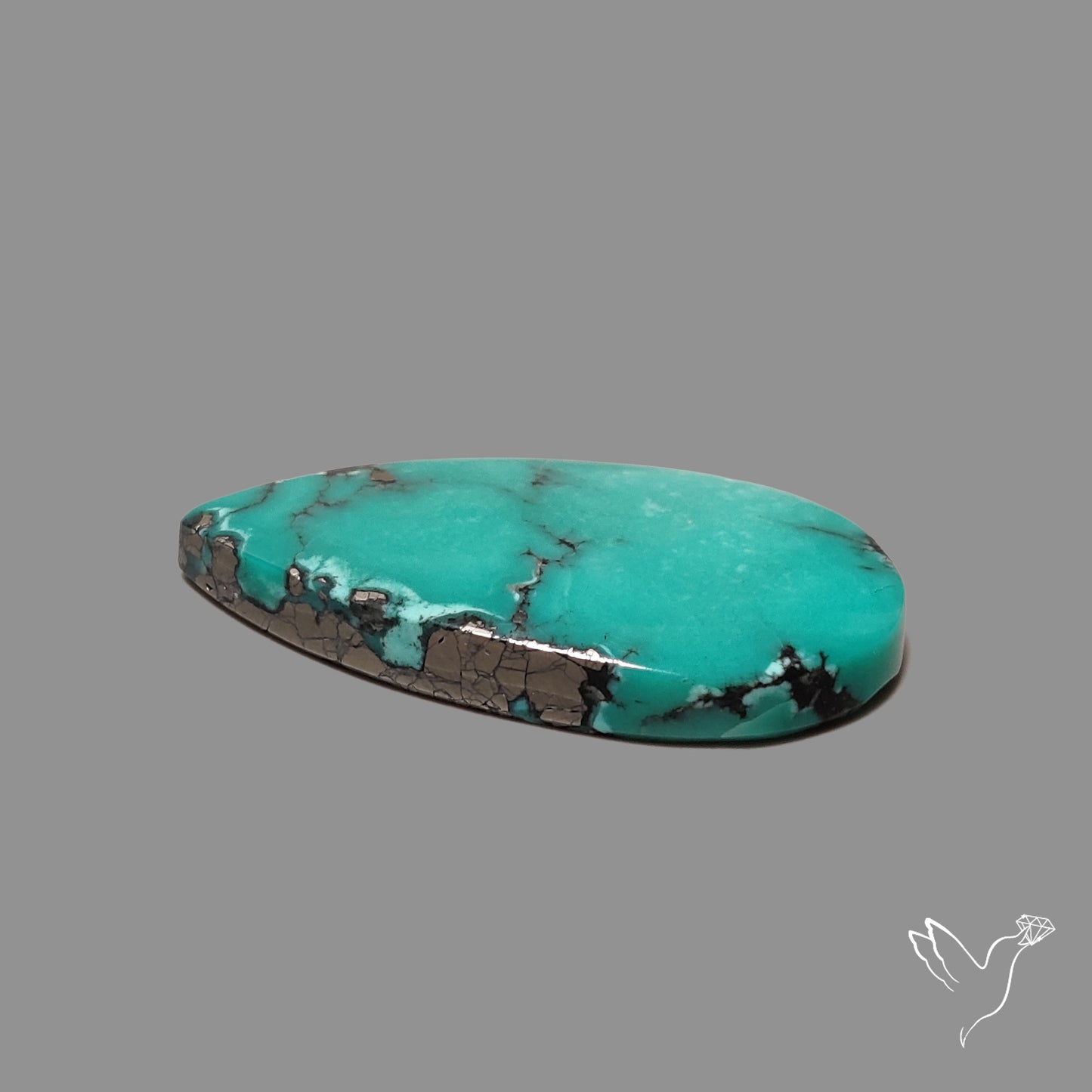 Campitos Mines Turquoise Cabochon